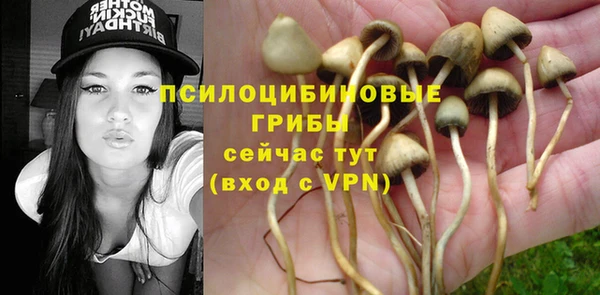 гашик Арсеньев