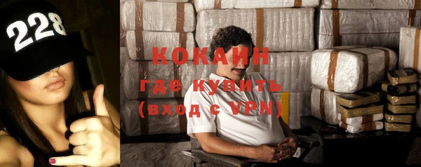 гашик Арсеньев