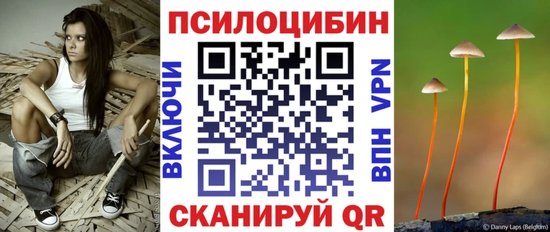 Галлюциногенные грибы Psilocybe Пестово