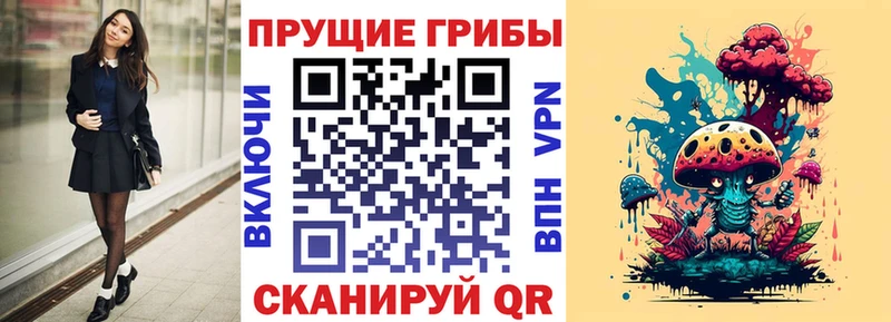 Псилоцибиновые грибы Cubensis  Пестово 