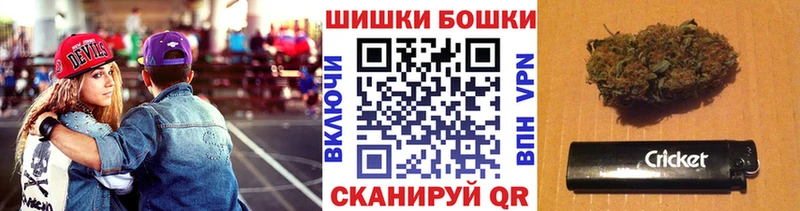 Конопля гибрид  Пестово 